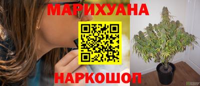 PSILOCYBIN Балахна