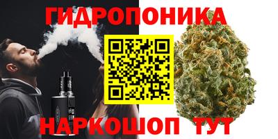 PSILOCYBIN Балахна