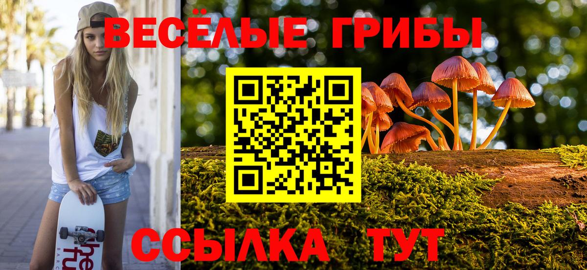 Псилоцибиновые грибы мицелий Екатеринбург